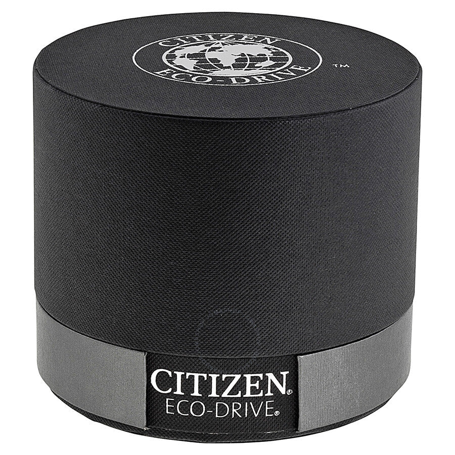 Citizen Eco-Drive Silver Dial Black Leather Men's Watch AO9000-06B - The Watches Men & Co #4