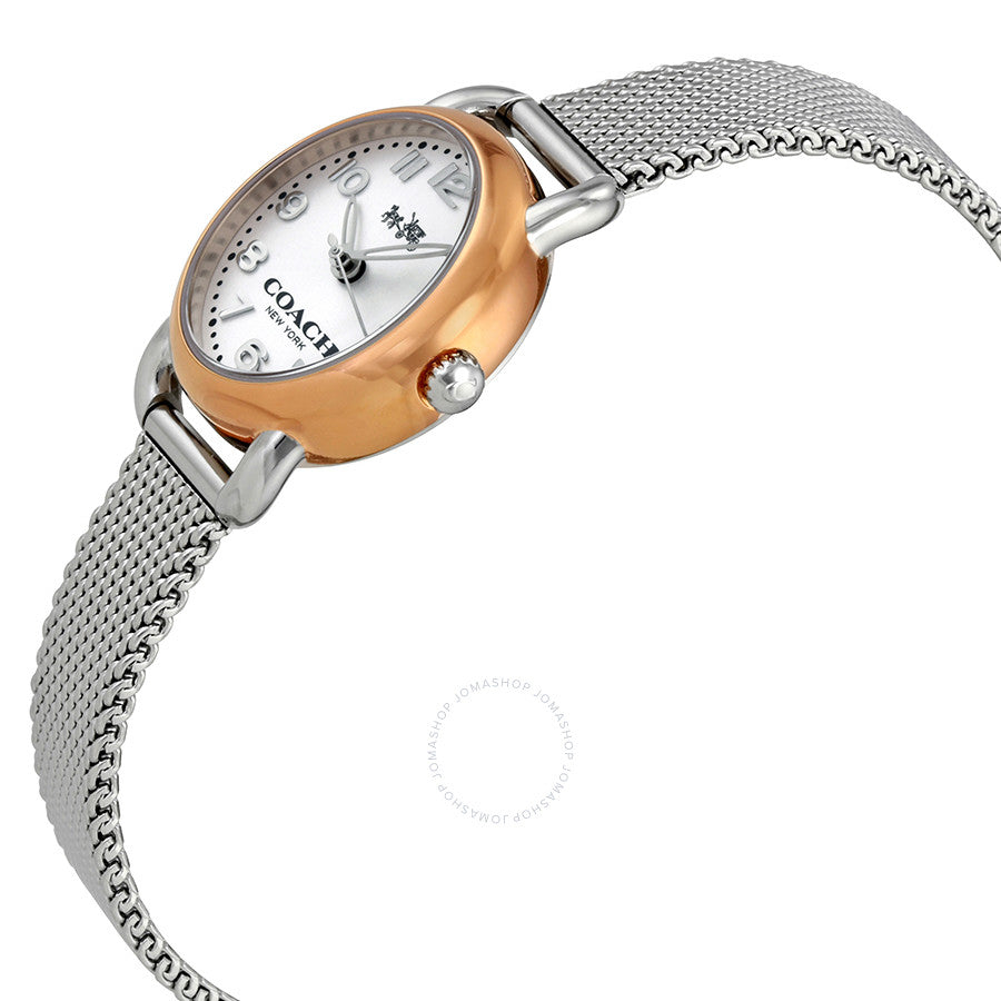 Coach Delancey Silver Dial Mesh Bracelet Ladies Watch 14502282