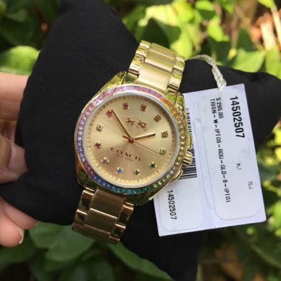 Coach Tristen All Gold Multi-crystal Ladies Watch 14502507