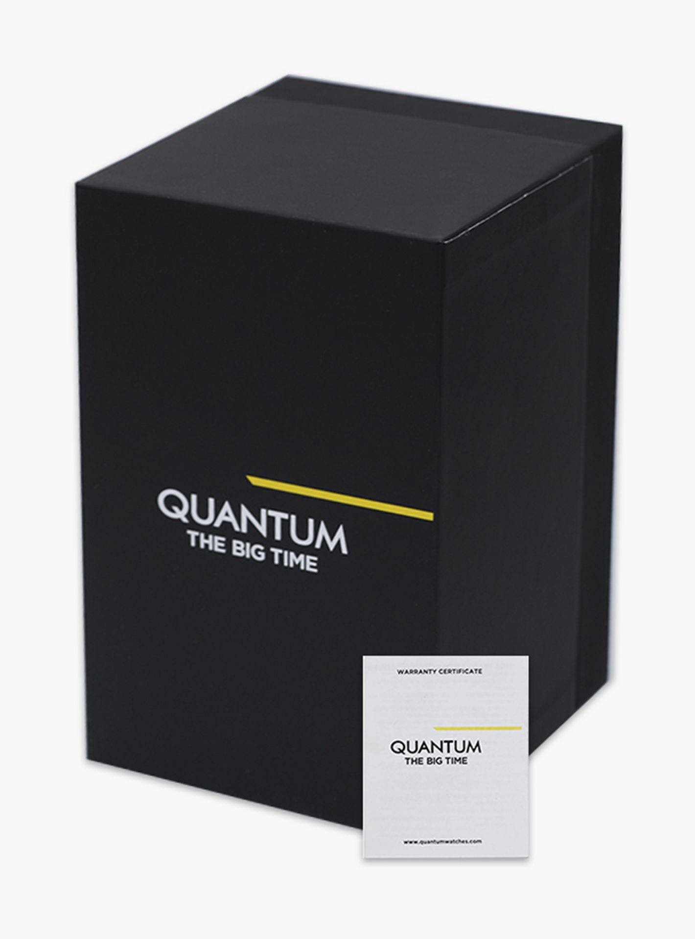 Quantum Silver Chronograph Stainless Steel Strap Men's Watch PWG930.350 - Kiwi Watches #4