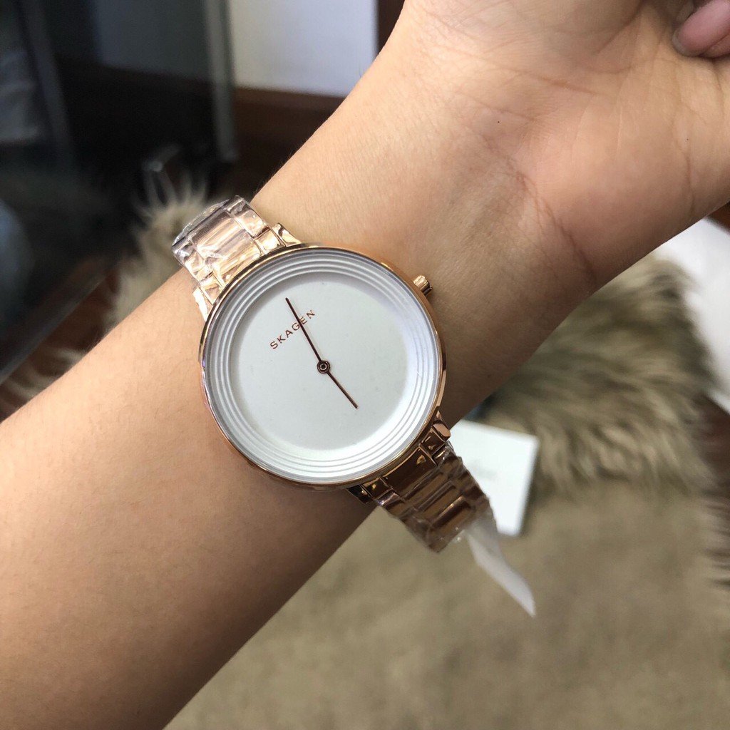 Skagen Ditte Silver Dial Rose Gold-tone Ladies Watch SKW2331