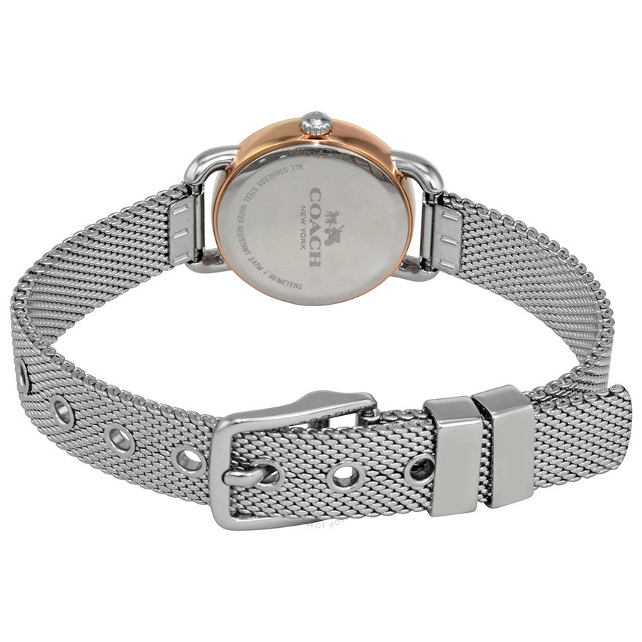 Coach Delancey Silver Dial Mesh Bracelet Ladies Watch 14502282