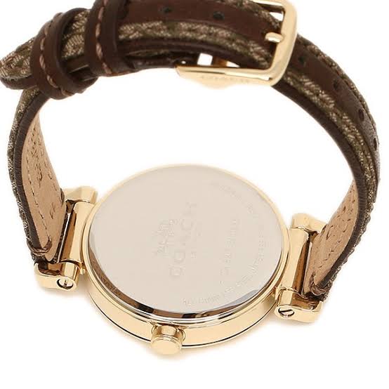 Coach 1941 Sport Crystal Gold Dial Leather Strap Ladies Watch 14502539