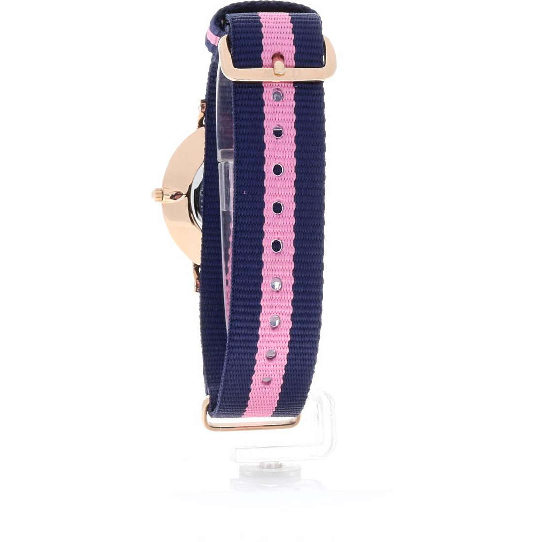 Daniel Wellington Classy Winchester 34mm Women's Gold Watch DW00100077