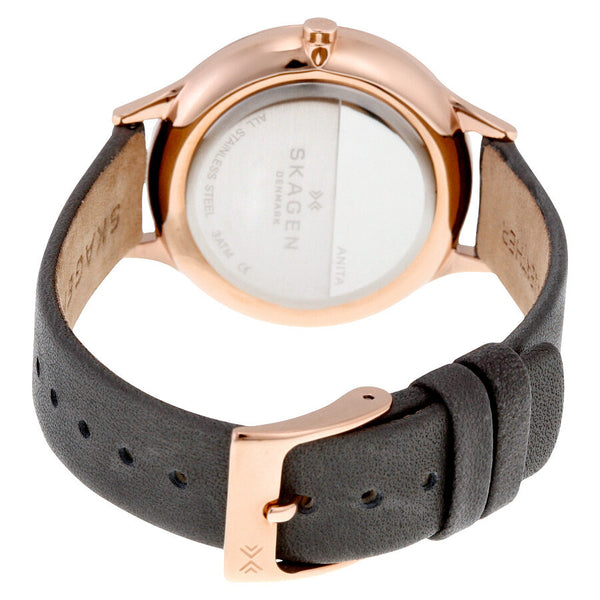 Skagen Anita Grey Crystal Constellation Dial Ladies Watch SKW2390
