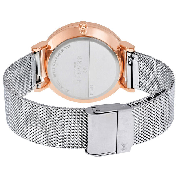 Skagen Hald Two-Tone Silver Ladies Watch SKW2506