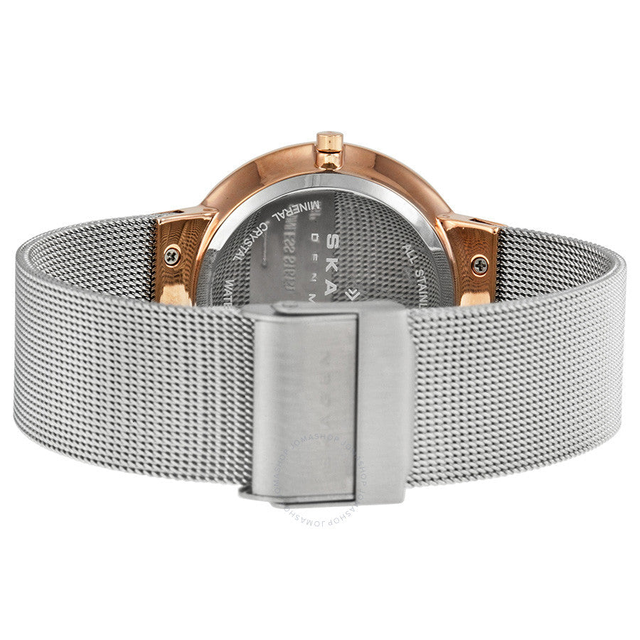 Skagen Leonora Silver Dial Stainless Steel Mesh Ladies Watch 456LRS